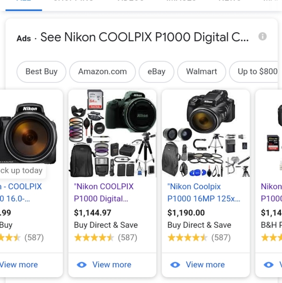 Nikon Coolpix P1000 - Picture 6 of 6